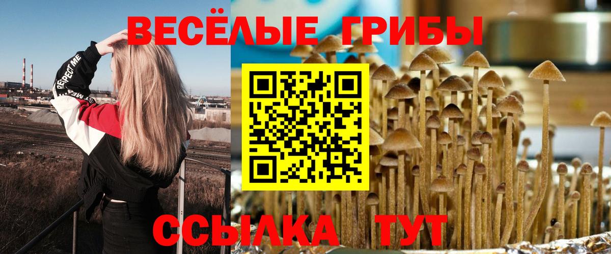 Якутск  Псилоцибиновые грибы Cubensis  Вход с VPN 